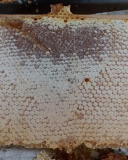 miel bio, miel naturel, miel biologique, miel, miel de montagne
