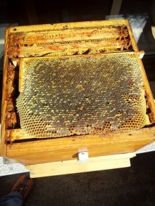 cire d'abeille, cire naturelle, cire d'abeille naturelle