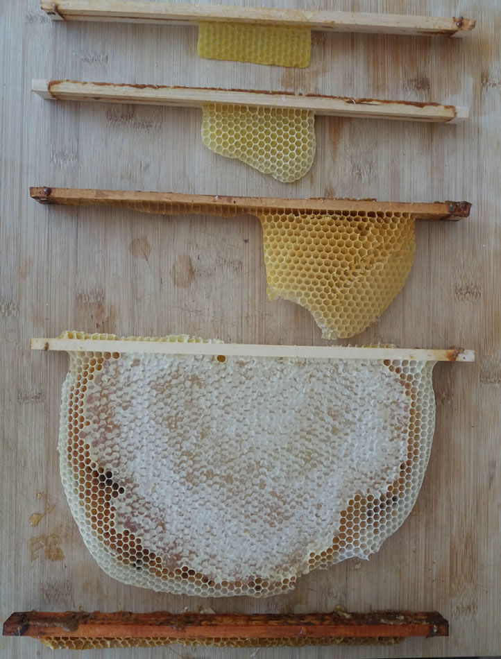 cire d'abeille, cire d'abeille bio, cire d'abeille naturel