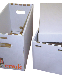 Ruchette carton 5 cadres pour essaim d'abeille noire