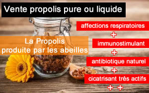 propolis pure, où trouver de la propolis pure, propolis pure bio, propolis bio pure, propolis brute de grille, propolis pur, propolis brute